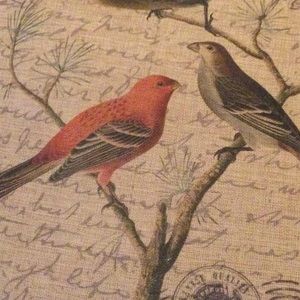 Meet your Posher, Darla